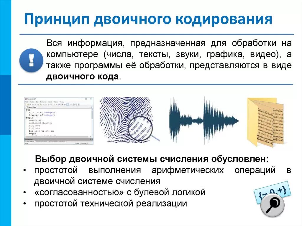 Информация обрабатываемая компьютером в двоичном коде