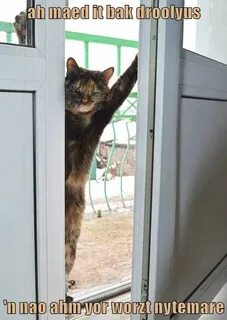 Скучно без денег