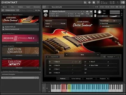 Session guitarist picked acoustic