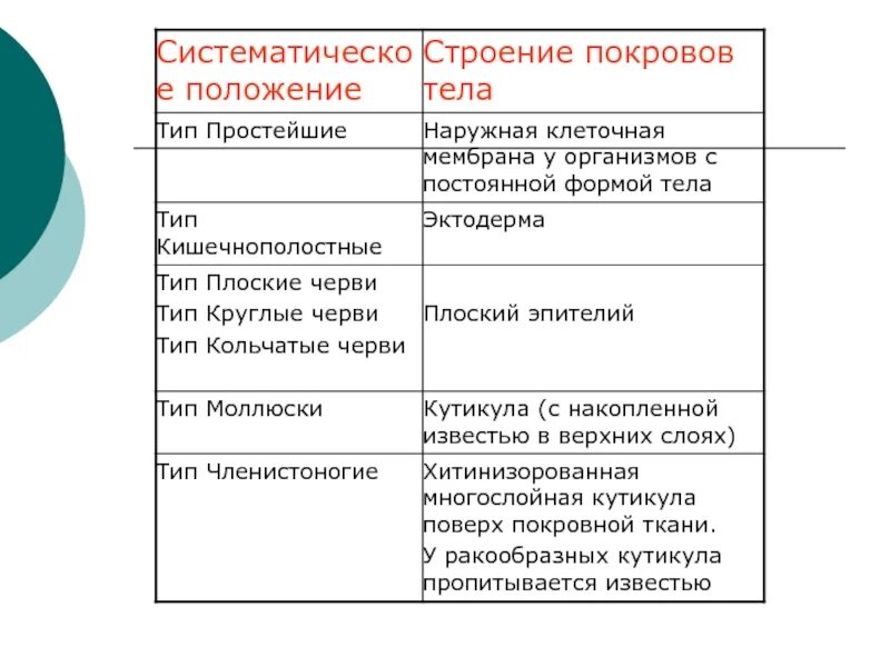 Эволюция строения и функций. Конспект по биологии покровы тела 7 класс. Таблица по биологии покровы тела 7 класс таблица. Покровы тела животных 7 класс биология. Тип простейшие строение покровов тела.