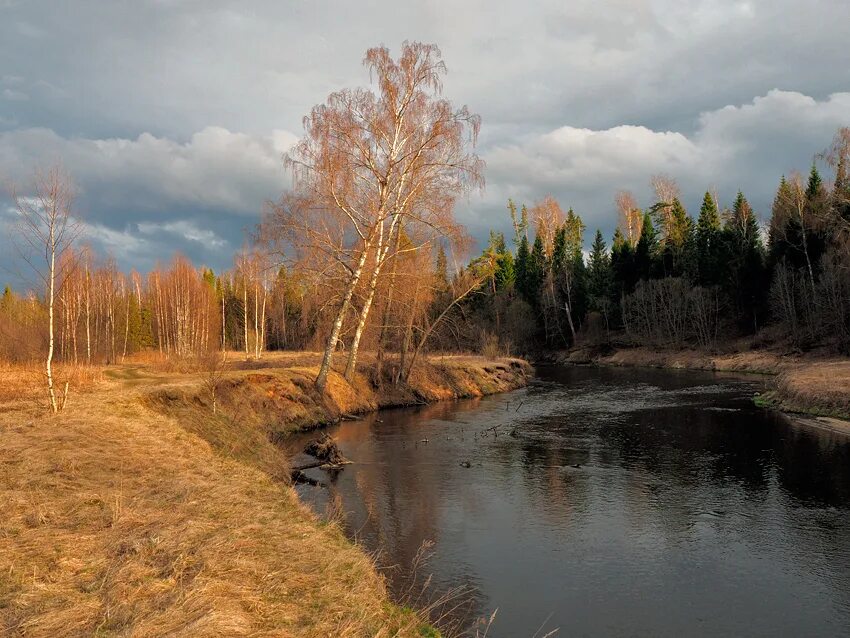 Река с черными берегами