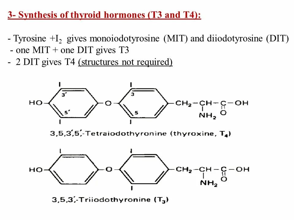 Третий синтез. T3 t4 Synthesis. Thyroid Hormone Synthesis. Bh4 фенилаланин. МЕТА-Тироид.