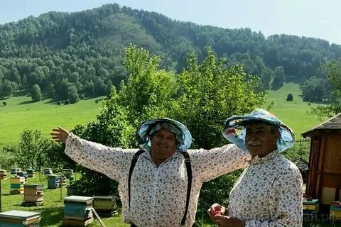 Алтай для пенсионеров путевки