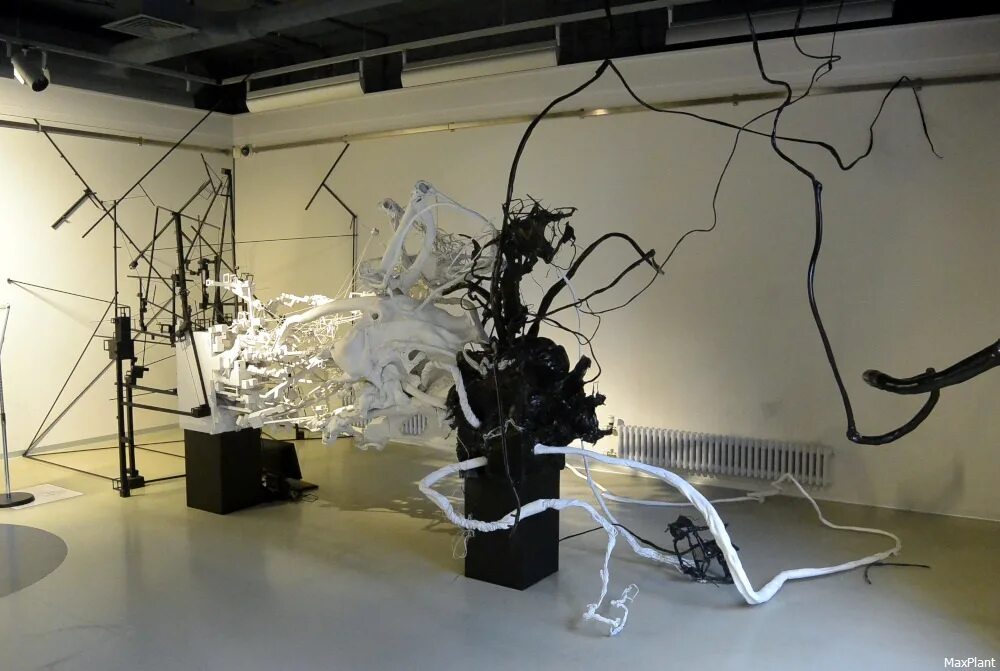 Петербург инсталляции. Музей современного искусства эрарта санкт-петербург. Музей эрарта модель биполярной активности. Эрарта музей современного искусства. Эрарта инсталляция вишневый сад.