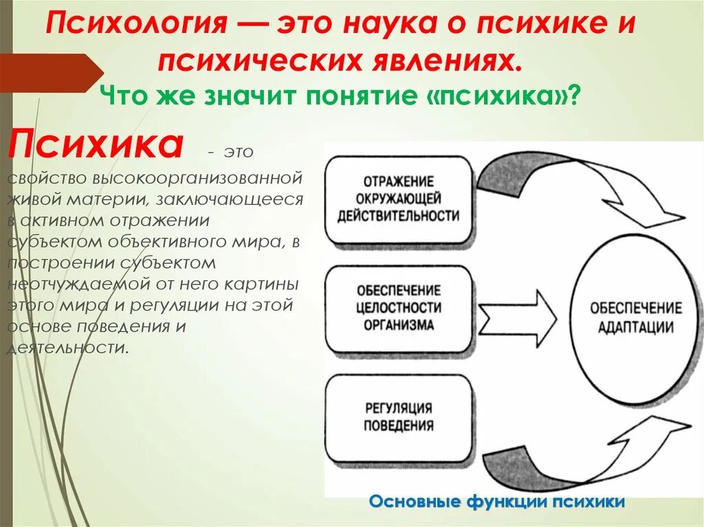 Психика уровни и функции психики. Функции и задачи психологии. предмет психологии и ее задачи. предмет психологии ее задачи и методы. объект и предмет психологии.