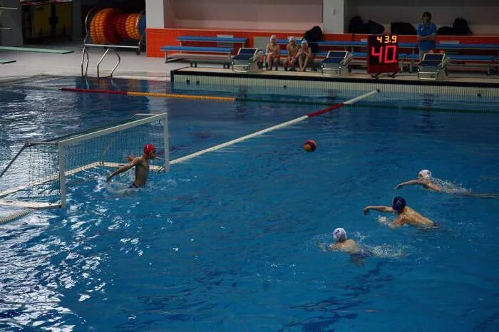 Водных видов спорта невская волна. Невская волна на джона рида. невская волна на джона рида водное поло. невская волна прыжковый бассейн. невская школа плавание джона рида.
