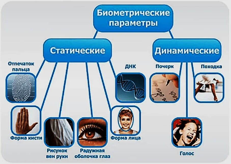 Сравнение биометрических данных