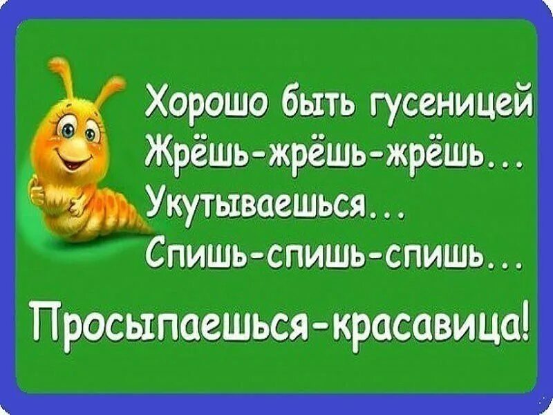 Юмор поднимающий настроение. Анекдоты про хорошее настроение. смешные фразы и выражения для поднятия настроения. статусы приколы для настроения. позитивные фразы для поднятия настроения.