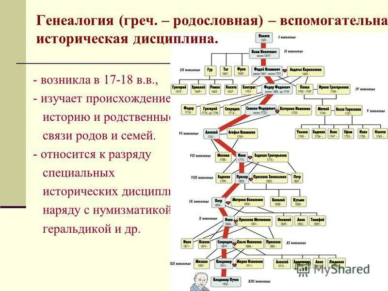 Что изучает генеалогия кратко. Родословная дерево шежере. Древо жизни родственников. Генеалогическое дерево рода радзивиллов. Историческая дисциплина генеалогия.