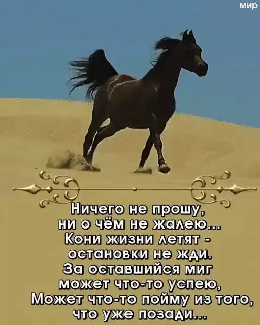 На кону выражение