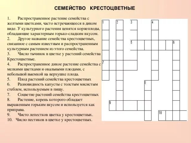 Кроссворд на тему двудольные растения. Кроссворд на тему семейство класса двудольные. Кроссворда на тему растения класса двудольные. Кроссворд на тему крестоцветные.