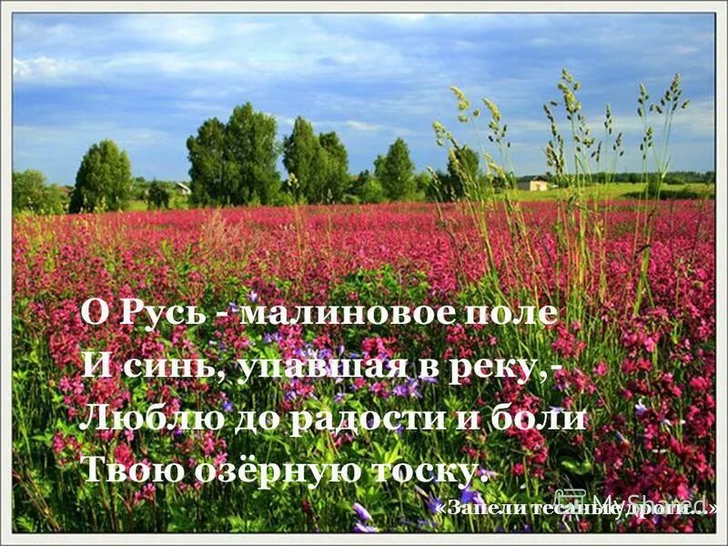 Малиновое поле Есенин. О Русь малиновое поле Есенин. Стих о Русь малиновое поле. Стихотворение Есенина о Русь малиновое поле. Запели тесаные дроги стихотворение