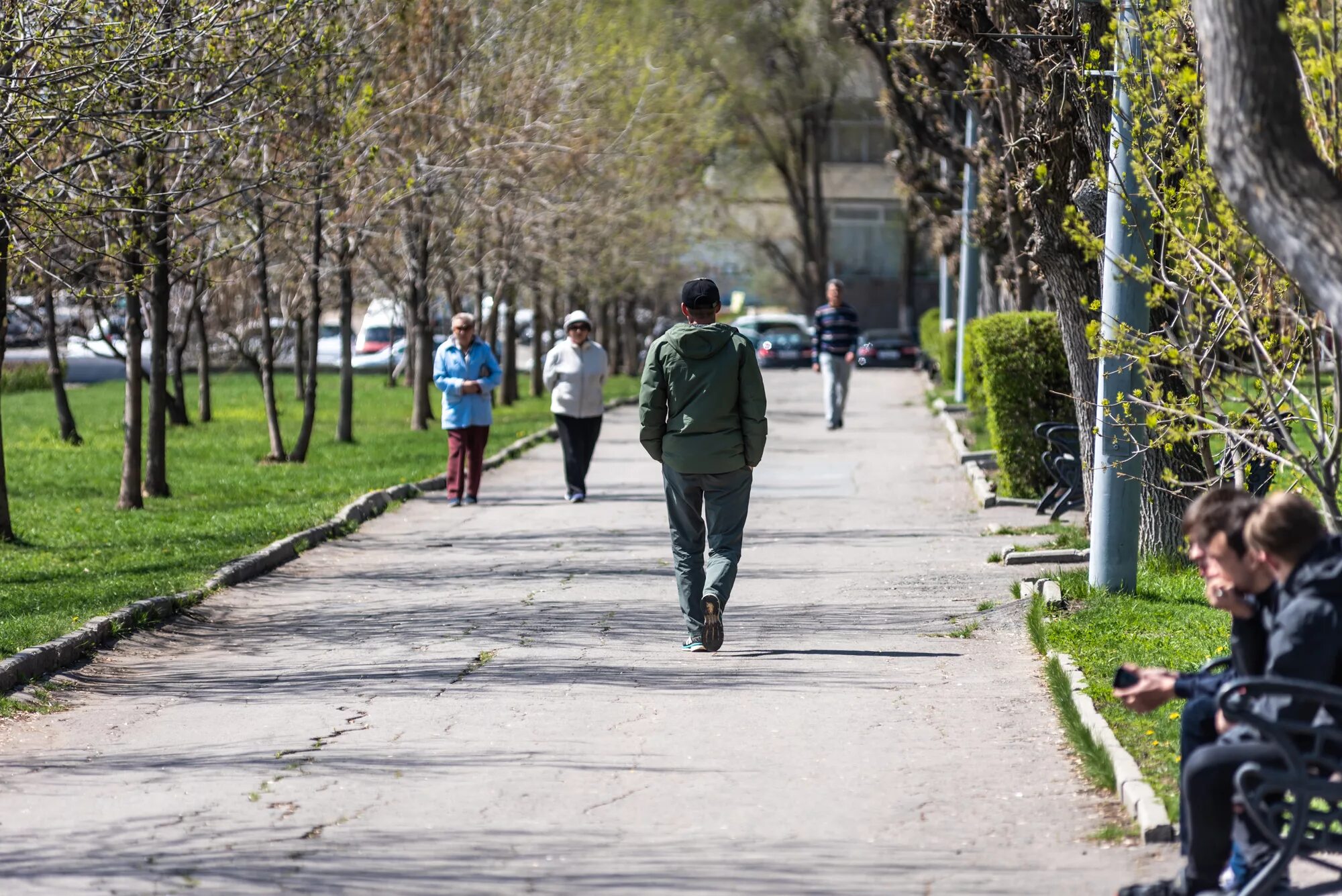 Https ya en. Прогулки в парках. Пешие прогулки по городу. Прогулка по парку. Прогулка в парке.