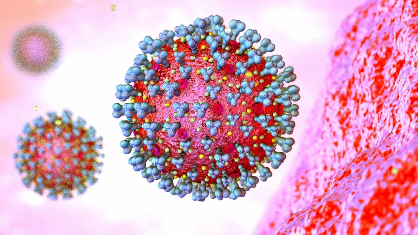 Омикрон-штамм SARS-cov-2. Гамма штамм коронавируса. Штаммы коронавируса под микроскопом. Бета штамм коронавируса. Новый тип коронавируса