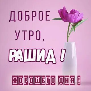 Открытки доброе утро оленька 23 шт.