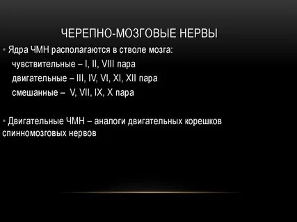 4 чувствительные нервы