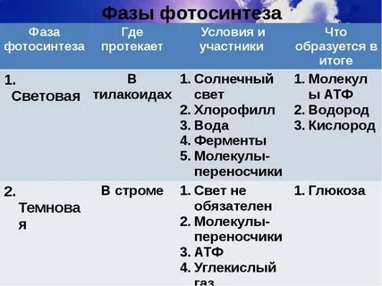 Признаки описания фотосинтеза