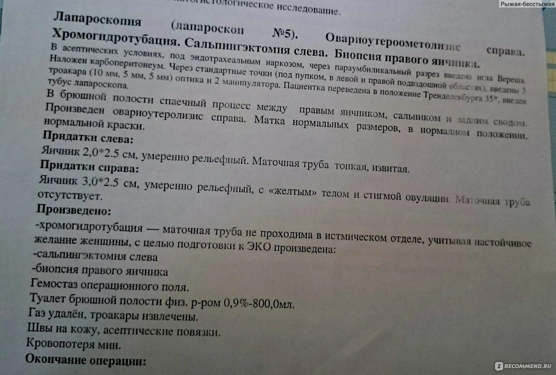 Протокол операции лапароскопия. Диагностическая лапароскопия протокол операции. Протокол диагностической лапароскопии. Тубэктомия протокол операции. Больничный при удалении матки