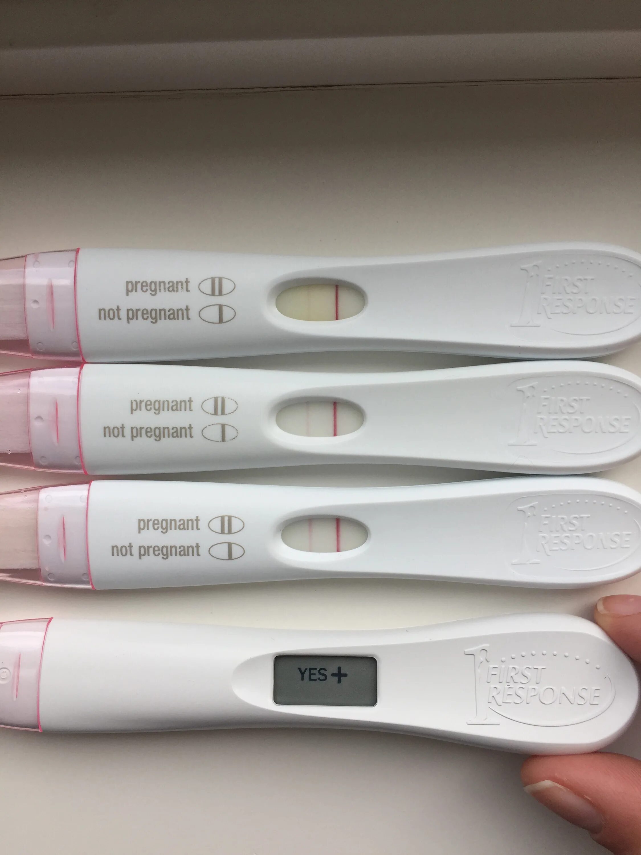 Test first. Ферст респонс. first response тест. интерактивный тест на беременность. negative pregnancy test.