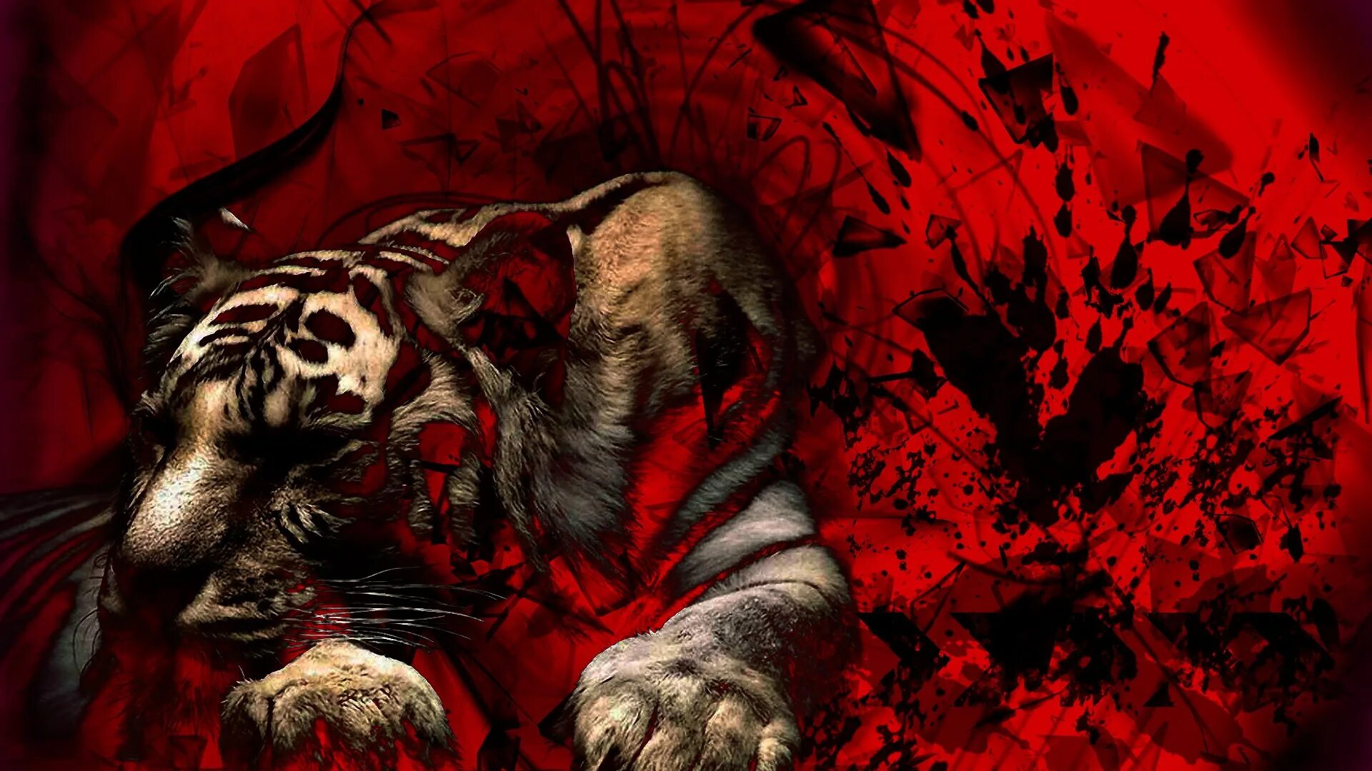 Грустный лев. Разбитый лев. Лев. Лев на аву. Красивый лев.