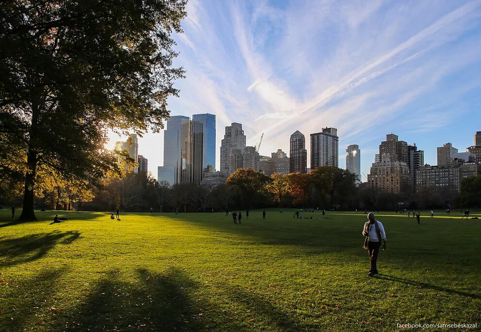 Central park 22. Центральный парк Нью-Йорк. Централ парк Нью-Йорк Поляна. Грин парк Нью Йорк. Нью Йорк Центральный паркё.