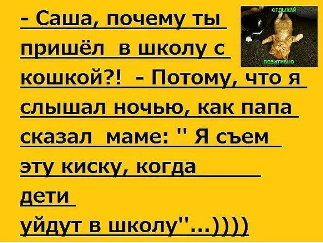 Почему называют киской. Анекдоты про киску. Неприличные анекдоты. Анекдот про киску смешные. Анекдоты про Сашу.