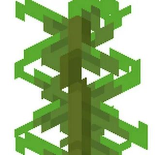 Ламинария майнкрафт