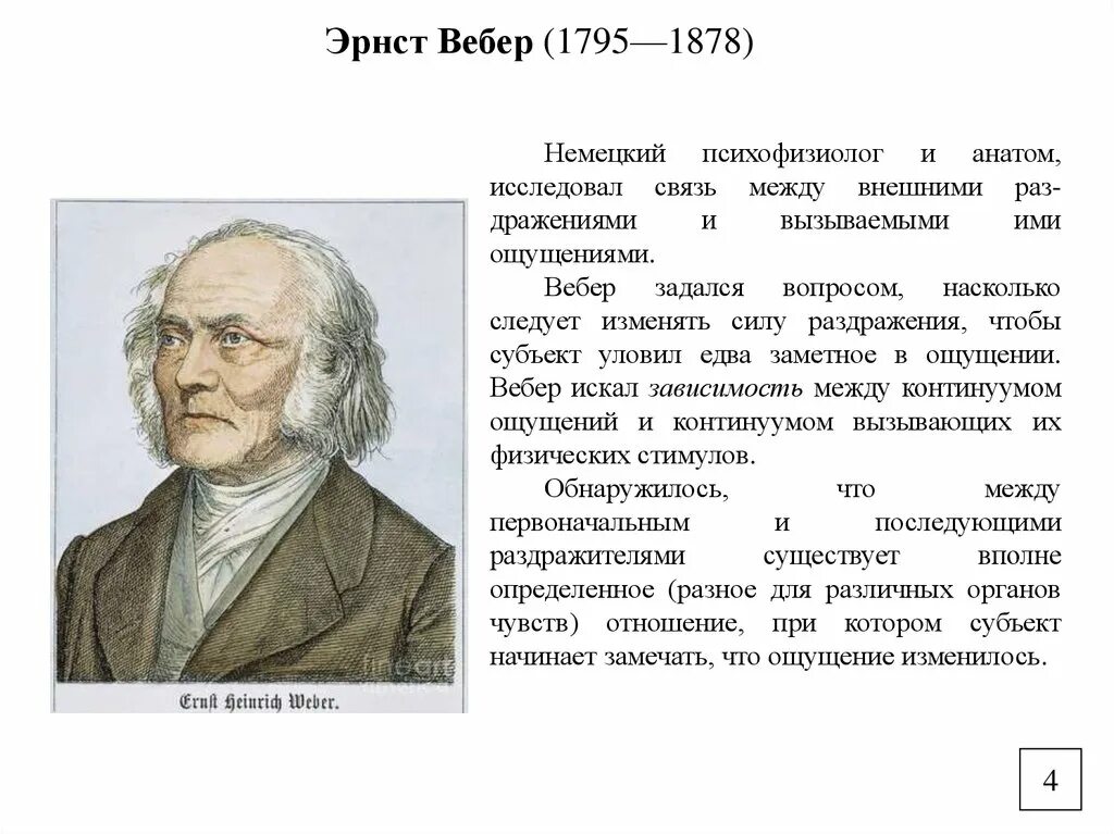 Вебер вклад в психологию. Э Г Вебер психология. Б г вебер