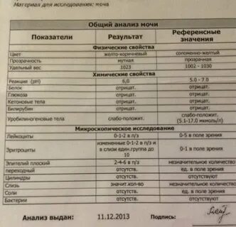 Моча эритроциты 1 2 что значит