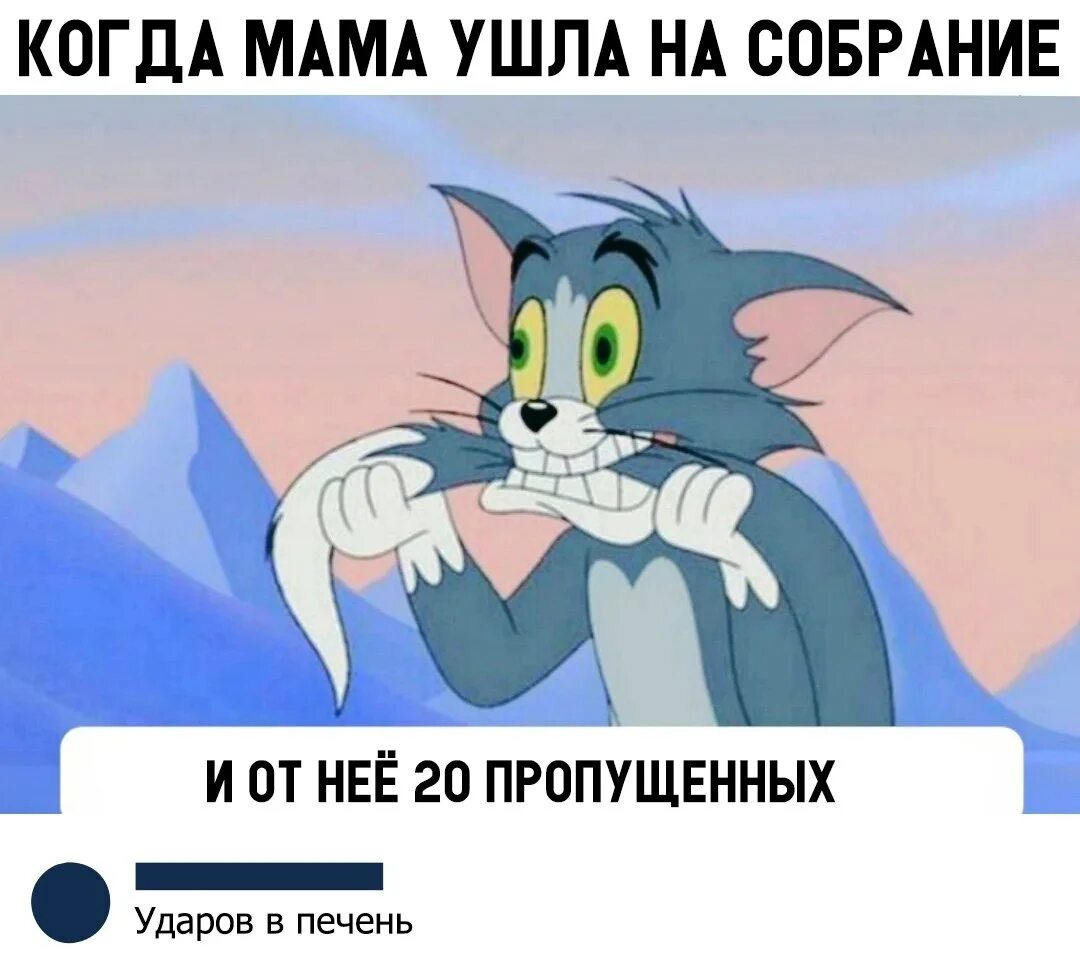 Мемы из мультиков. Джерри кривляется. Мемы из мультиков. Том и джерри приколы. Смешные мемы с томом.