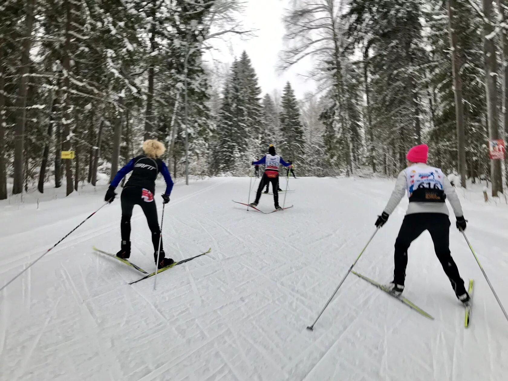 Skiing track. Занятия на лыжах. Занятия лыжным спортом. Катание на лыжах. Место для катания на лыжах.