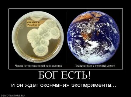 Суть бога