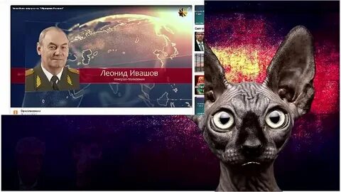 Телеграм канал кот костян