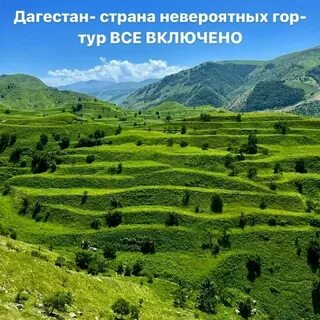 Амра туристик