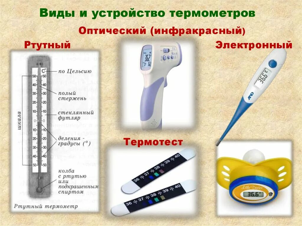 Термометр. Градусник. Термометр для измерения температуры тела. Устройство термометра для измерения температуры тела.