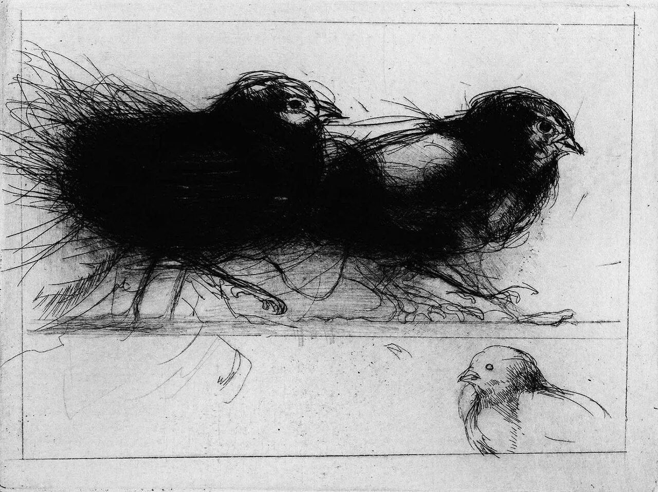 Сухая игла. Офорт техника сухой иглы. Техника линогравюра сухая игла. Сухая игла техника рисования. Гравюра - офорт сухая игла.