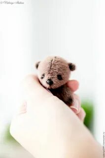 Valeriya bear wolf