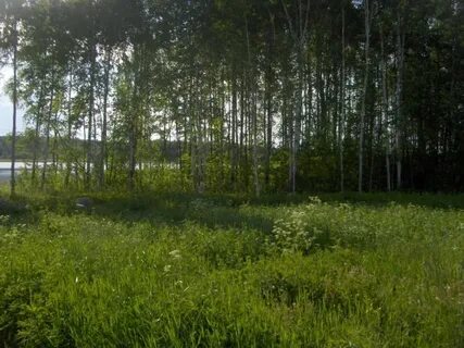 Мировые участки петрозаводск