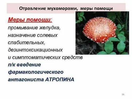 Отравление меры