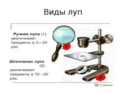Устройство ручной лупы