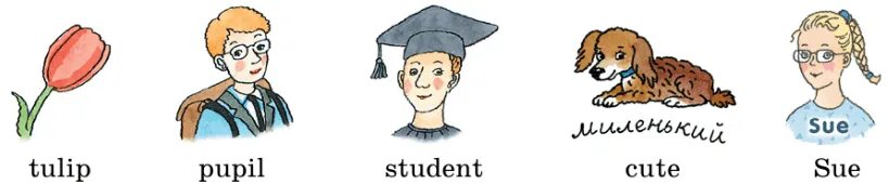 Перевод с английского языка pupil. Перевод с английского языка pupil. Перевод с английского языка pupil. Pupil перевод на русский язык с английского. Перевод с английского языка pupil.