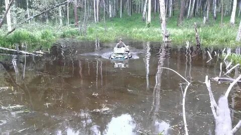 8 8 на болоте