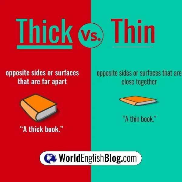 Thick thin. Thick на английском. Thick and thin предложения. Thick thin картинки для английского. Thin adjective