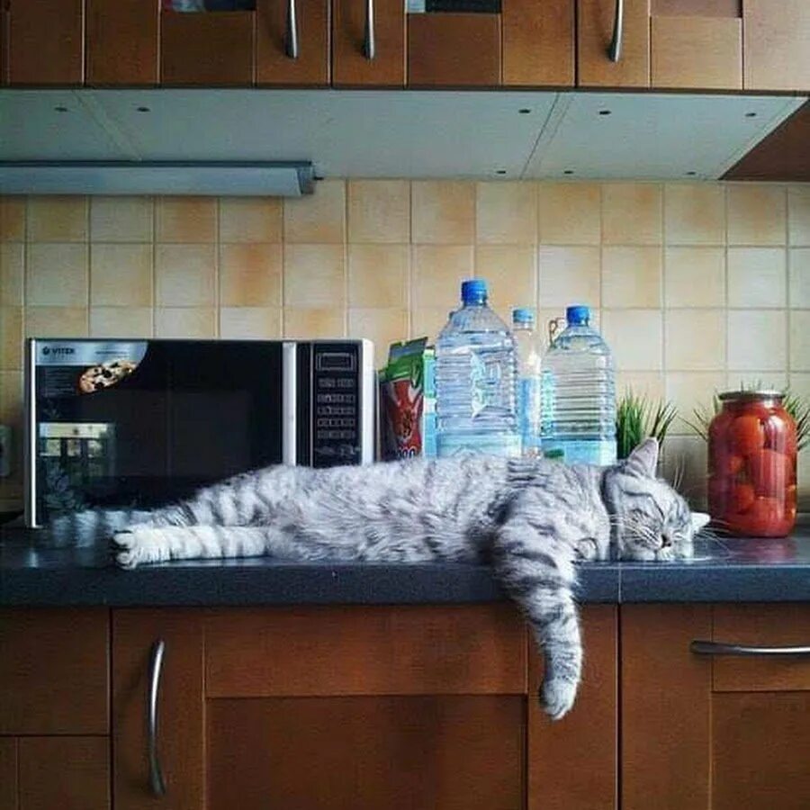 Спящий человек. Женщина у холодильника ночью. Кухня спать. Фотосессия после вечеринки утром. Пьяная девушка с бутылкой.