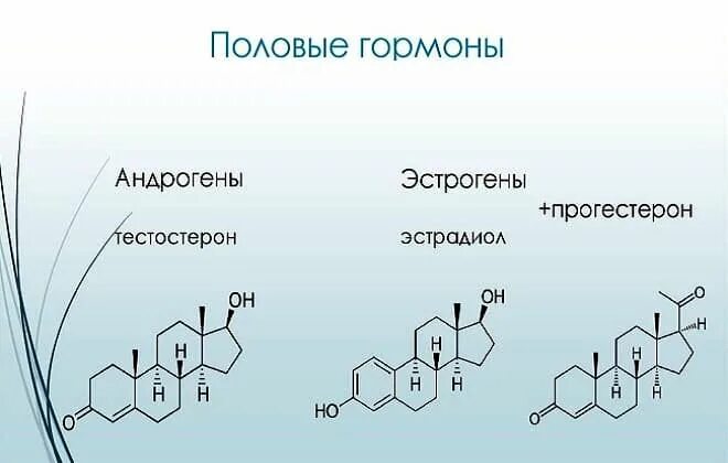 Женские половые гормоны прогестерон. Половые гормоны эстрогены и андрогены. Стероидные гормоны эстрогены. Перечислите женские половые гормоны. Молекула тестостерона.