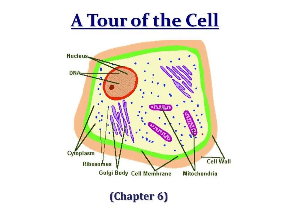 Cell is empty. Cell is empty