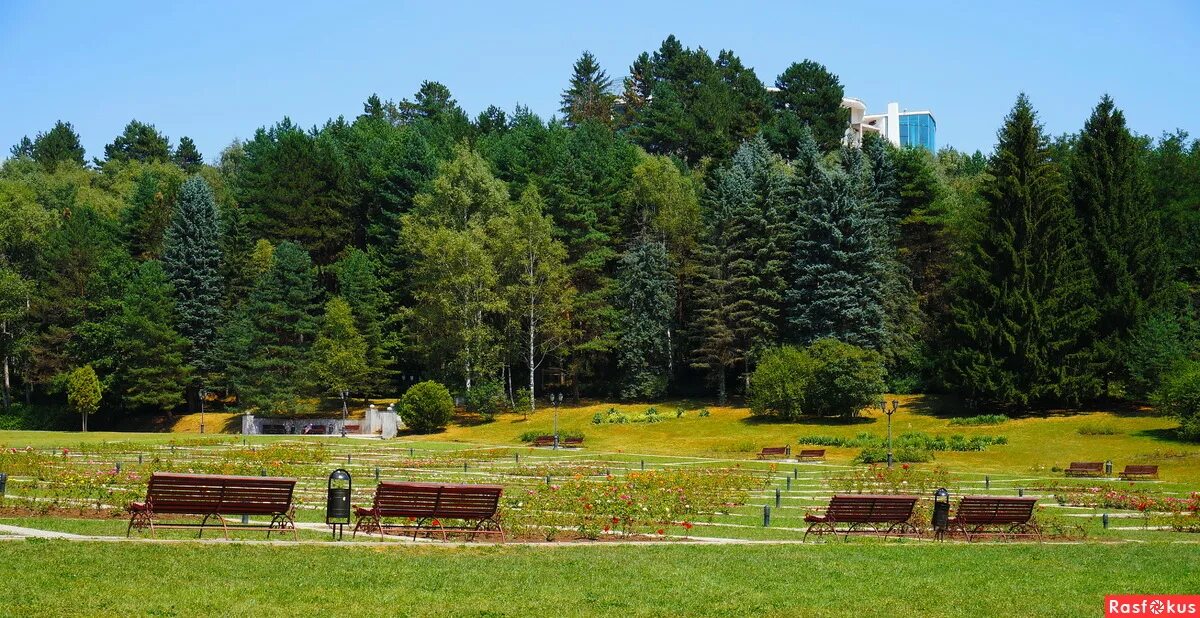 "санаторий им. вилла арнест кисловодск официальный сайт. санаторий кисловодск в кисловодске. кисловодск пикет. элорма санаторий кисловодск.
