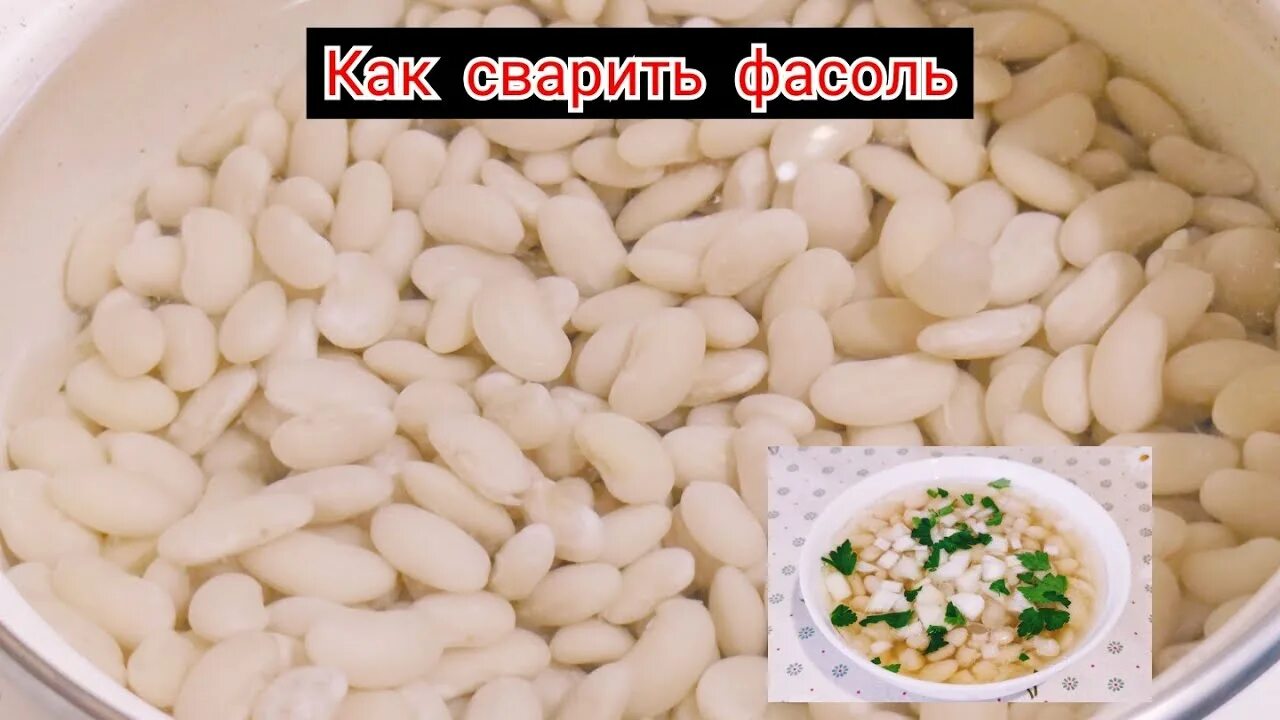 Как сварить белую фасоль вкусно. Как правильно варить фасоль. как варить белую фасоль. отварить белую фасоль как правильно. сколько варить фасоль белую.