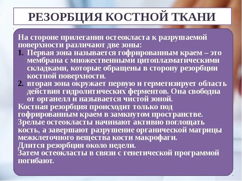 Резорбция ткани. Ремоделирование костной ткани резорбция. ферменты остеокластов.