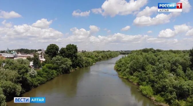 Река алей в рубцовске. Река алей Алтайский край. Набережная река алей Рубцовск. Река алей Алтайский край город Алейск.